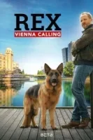 Комиссар Рэкс: Перезапуск